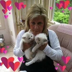 Meet your Posher, Shelly